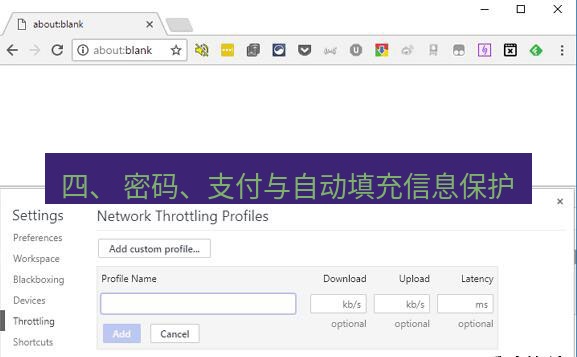 chrome下载 四、 密码、支付与自动填充信息保护