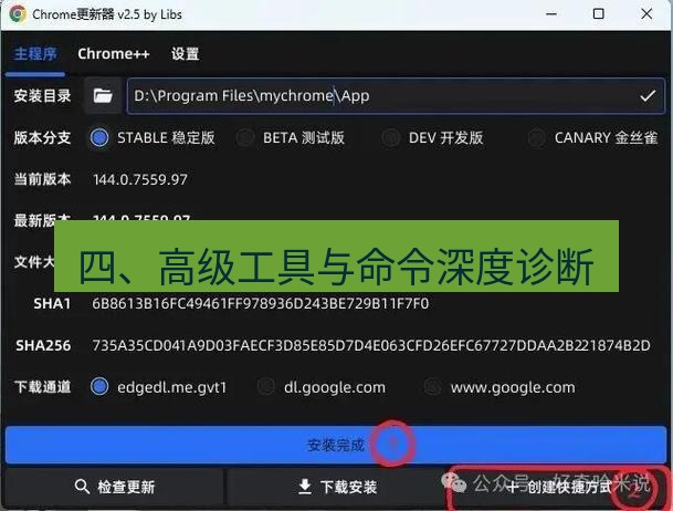 chrome下载 四、高级工具与命令深度诊断