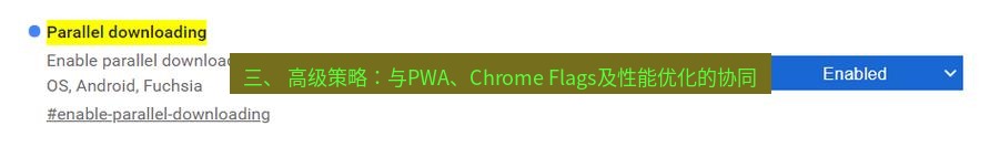 chrome下载 三、 高级策略：与PWA、Chrome Flags及性能优化的协同