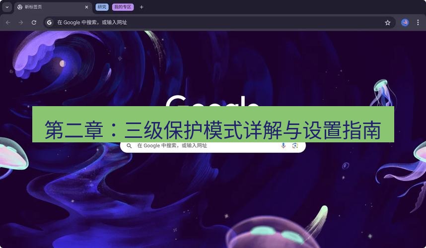 chrome下载 第二章：三级保护模式详解与设置指南