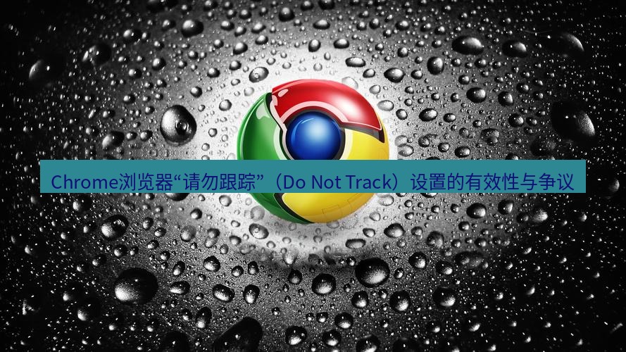 chrome下载 Chrome浏览器“请勿跟踪”（Do Not Track）设置的有效性与争议