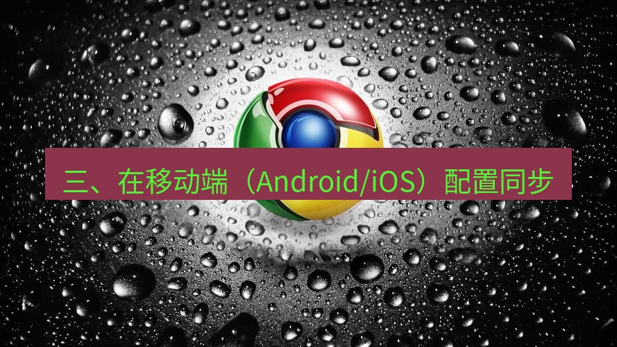 chrome下载 三、在移动端（Android/iOS）配置同步