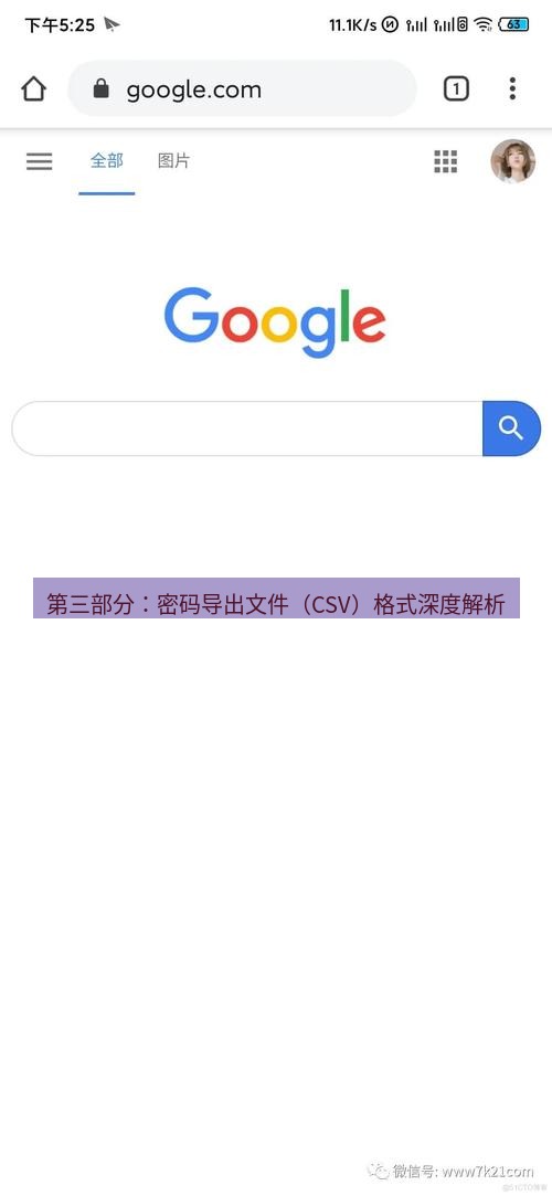 chrome下载 第三部分：密码导出文件（CSV）格式深度解析