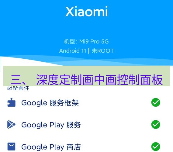 chrome下载 三、 深度定制画中画控制面板