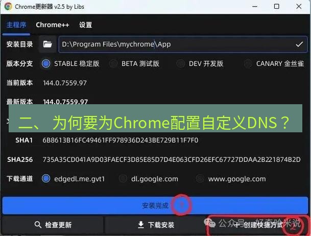 chrome下载 二、 为何要为Chrome配置自定义DNS？