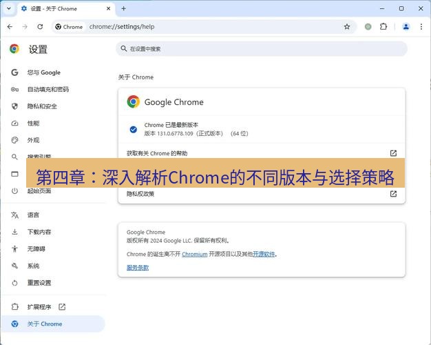 chrome下载 第四章：深入解析Chrome的不同版本与选择策略