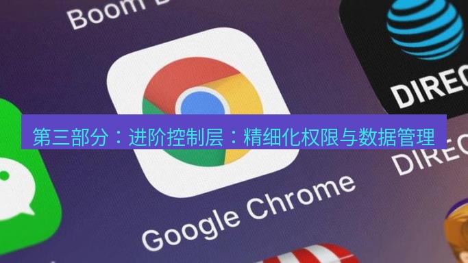 chrome下载 第三部分：进阶控制层：精细化权限与数据管理