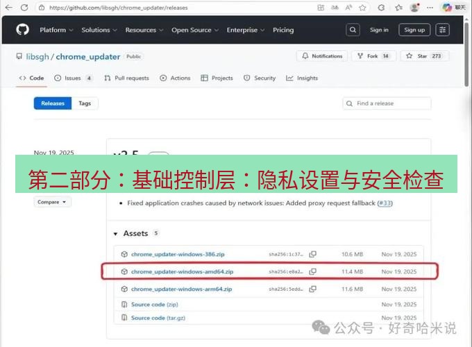chrome下载 第二部分：基础控制层：隐私设置与安全检查