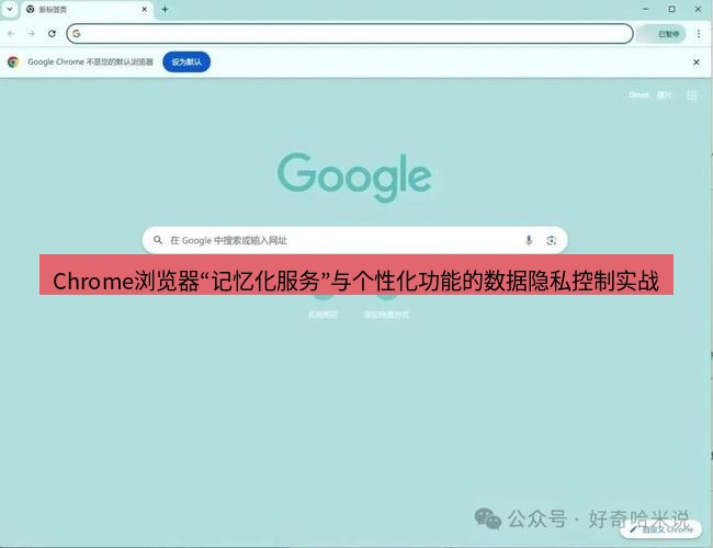 chrome下载 Chrome浏览器“记忆化服务”与个性化功能的数据隐私控制实战