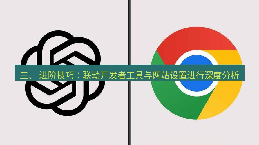 chrome下载 三、 进阶技巧：联动开发者工具与网站设置进行深度分析