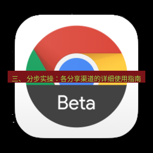 chrome下载 三、 分步实操：各分享渠道的详细使用指南