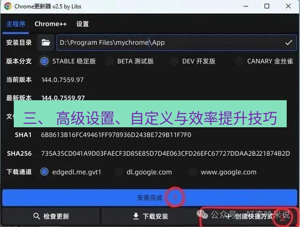 chrome下载 三、 高级设置、自定义与效率提升技巧