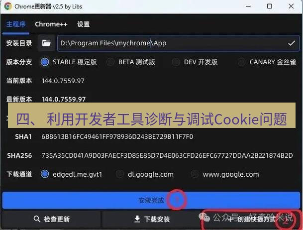 chrome下载 四、 利用开发者工具诊断与调试Cookie问题